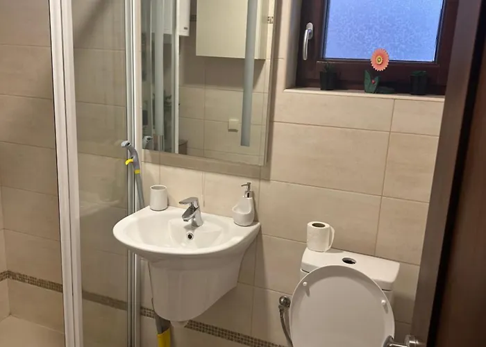 아파트 Milica 즐라티보